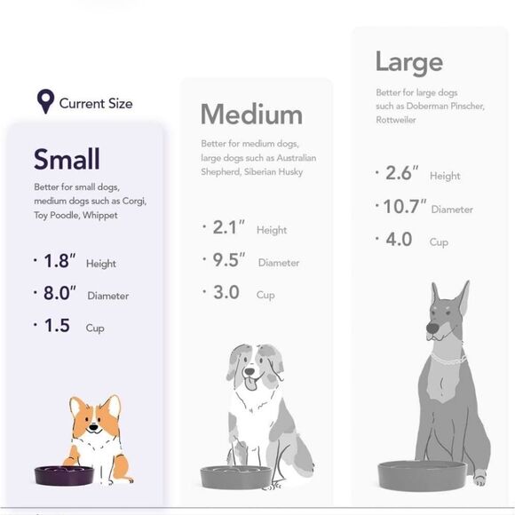 NIB LE TAUCI Dog Slow Feeder Ceramic, 1.5 Cups Slow Eater Bowl for Dogs - Picture 9 of 9